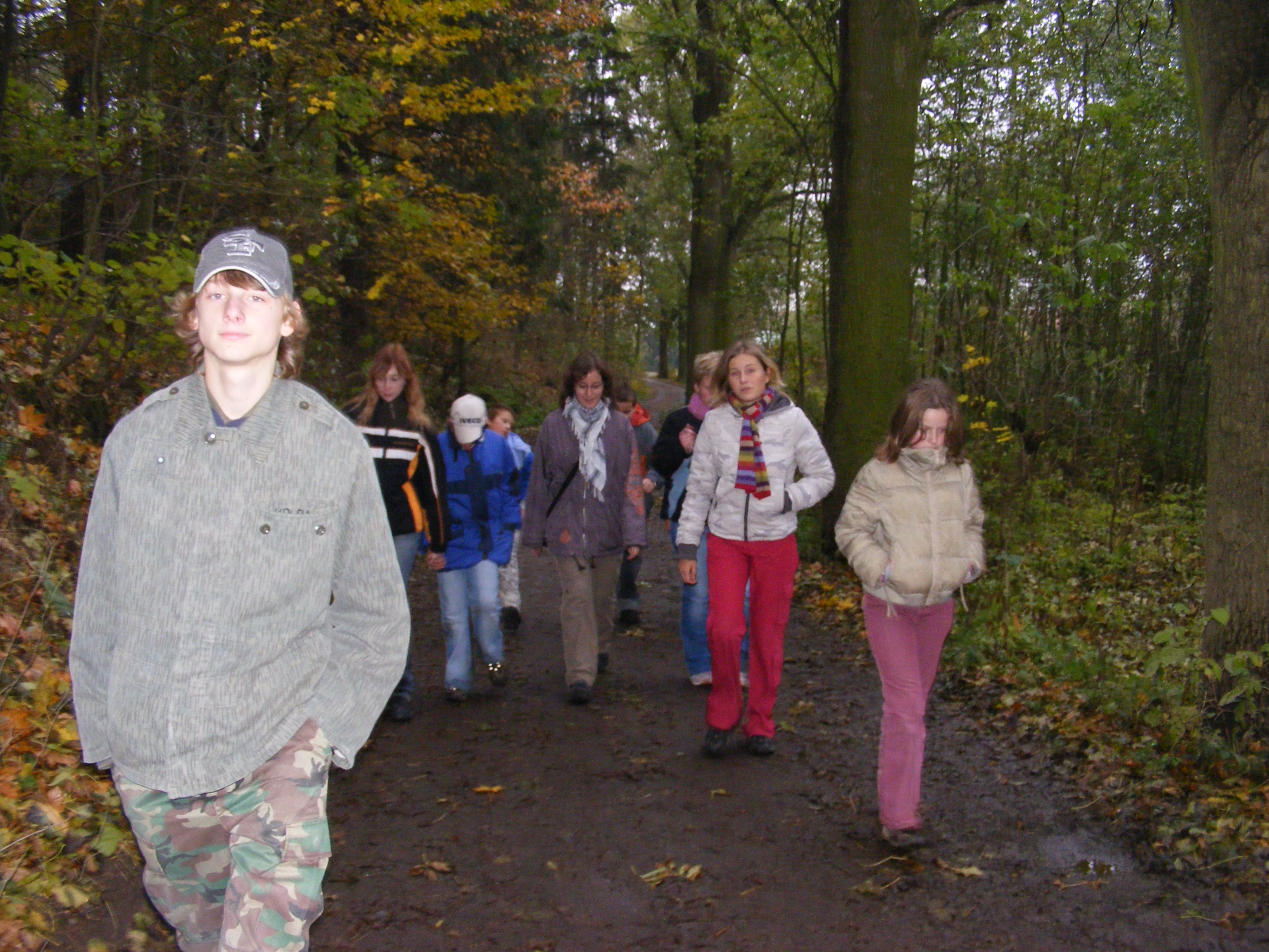 procházka naším lesem